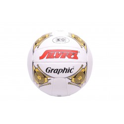 Silvers Graphic Volleyball